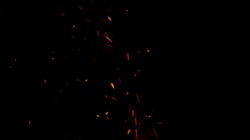 60615138216812467746.gif